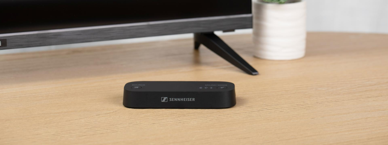 モメンタムスポーツ