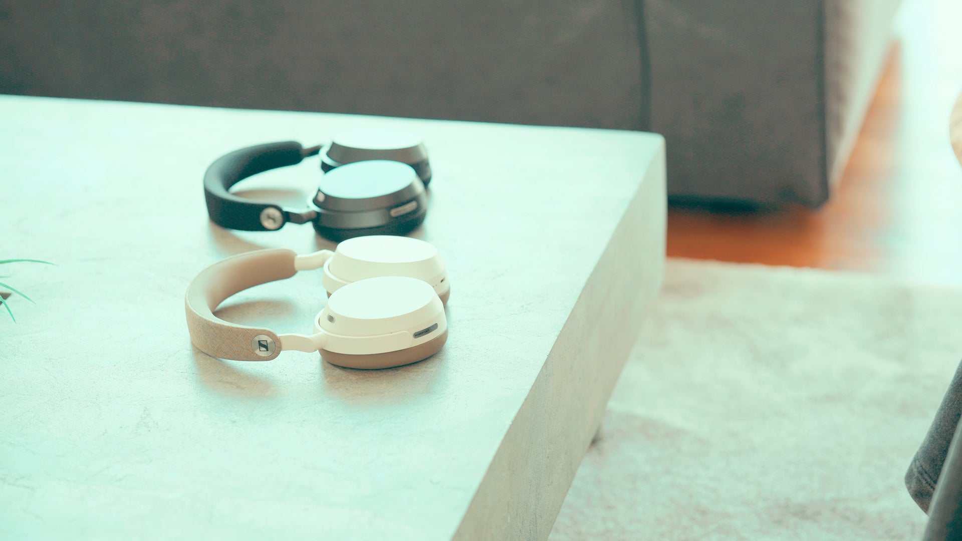Saucy Dog Shinya Ishihara X MOMENTUM 5 Wireless
