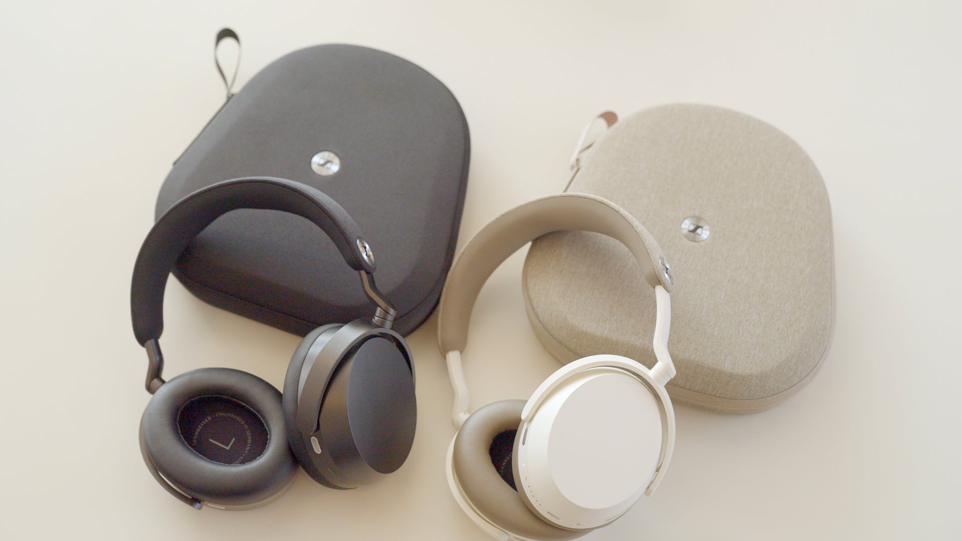 Saucy Dog Shinya Ishihara X MOMENTUM 5 Wireless