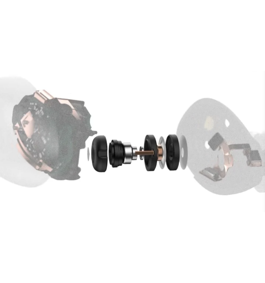 Momentum Sport Img 02