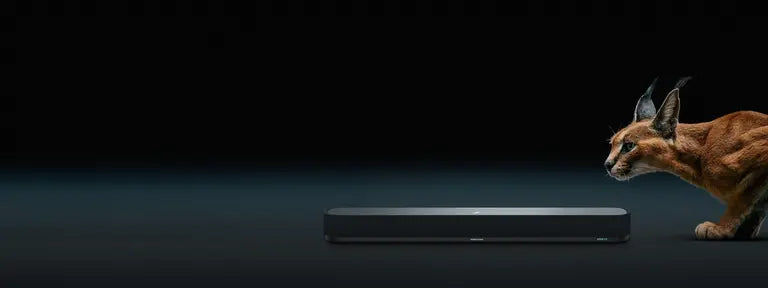 モメンタムスポーツ